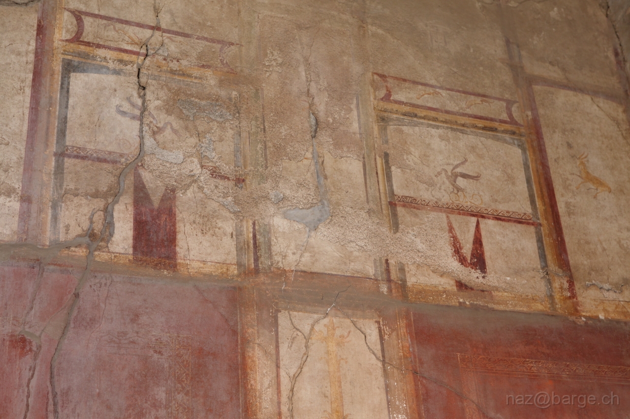 EOS 5D Mark II02_05_20121214.JPG